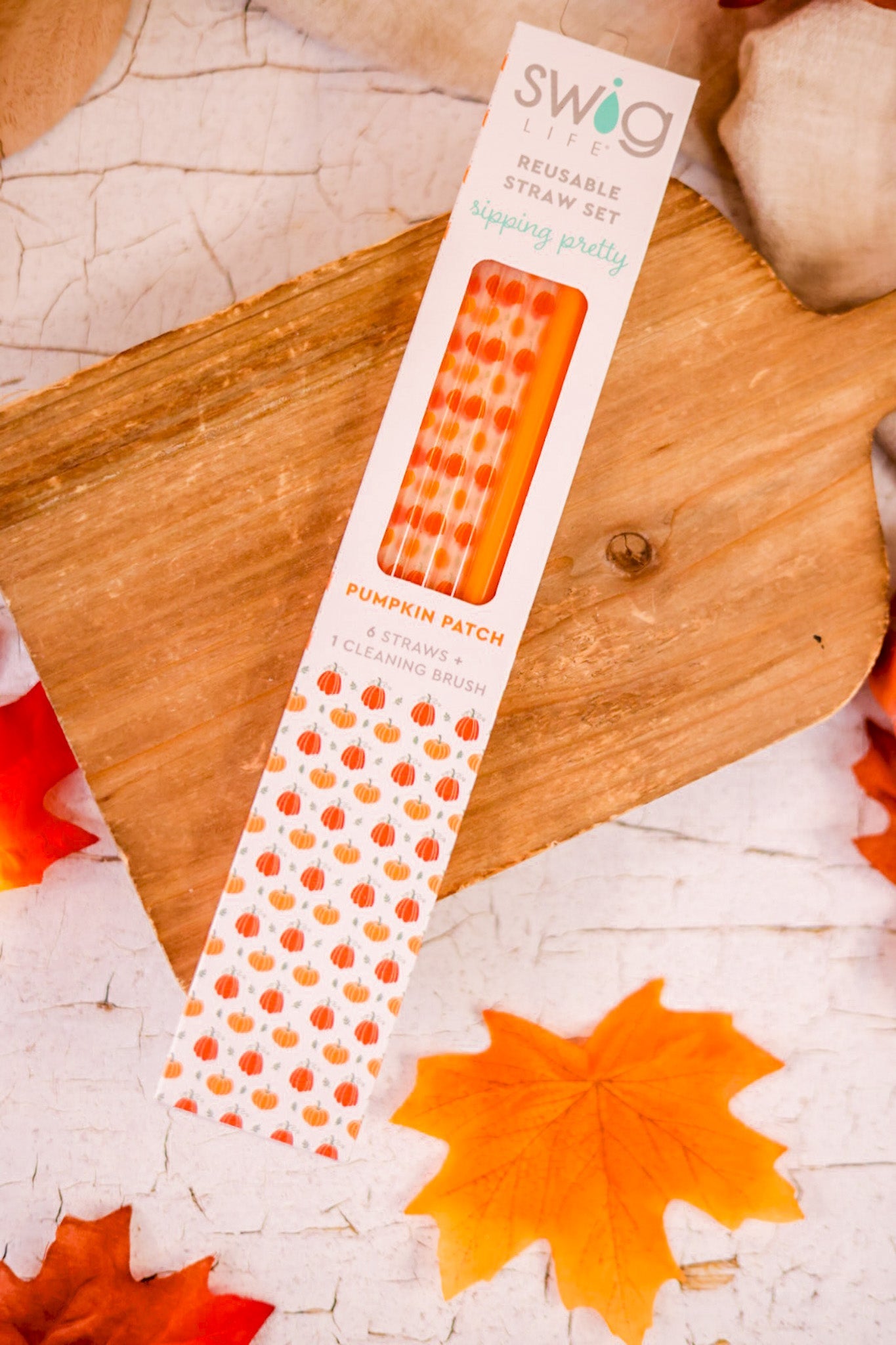 Pumpkins & Orange Reusable Straw Set - Whiskey Skies - SWIG LIFE