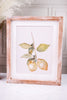 Reversible Wood Framed Lemon Sign - Whiskey Skies - ADAMS & CO