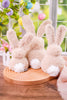 Sherpa Bunny Figures (3 Sizes) - Whiskey Skies - RAZ IMPORTS