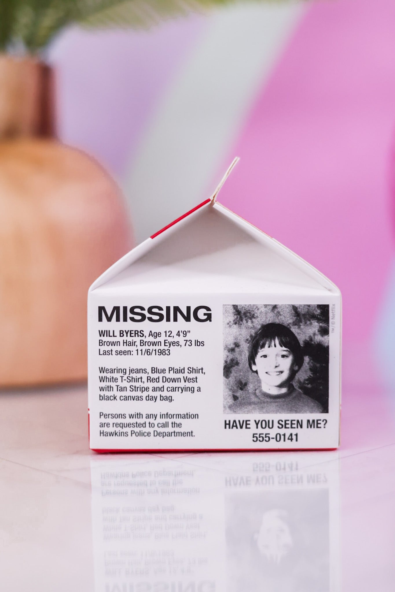 Stranger Things Milk Carton Notes - Whiskey Skies - FRED AND FRIENDS