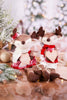 Stuffed Gingerbread Reindeer Sitters (2 Styles) - Whiskey Skies - SULLIVANS