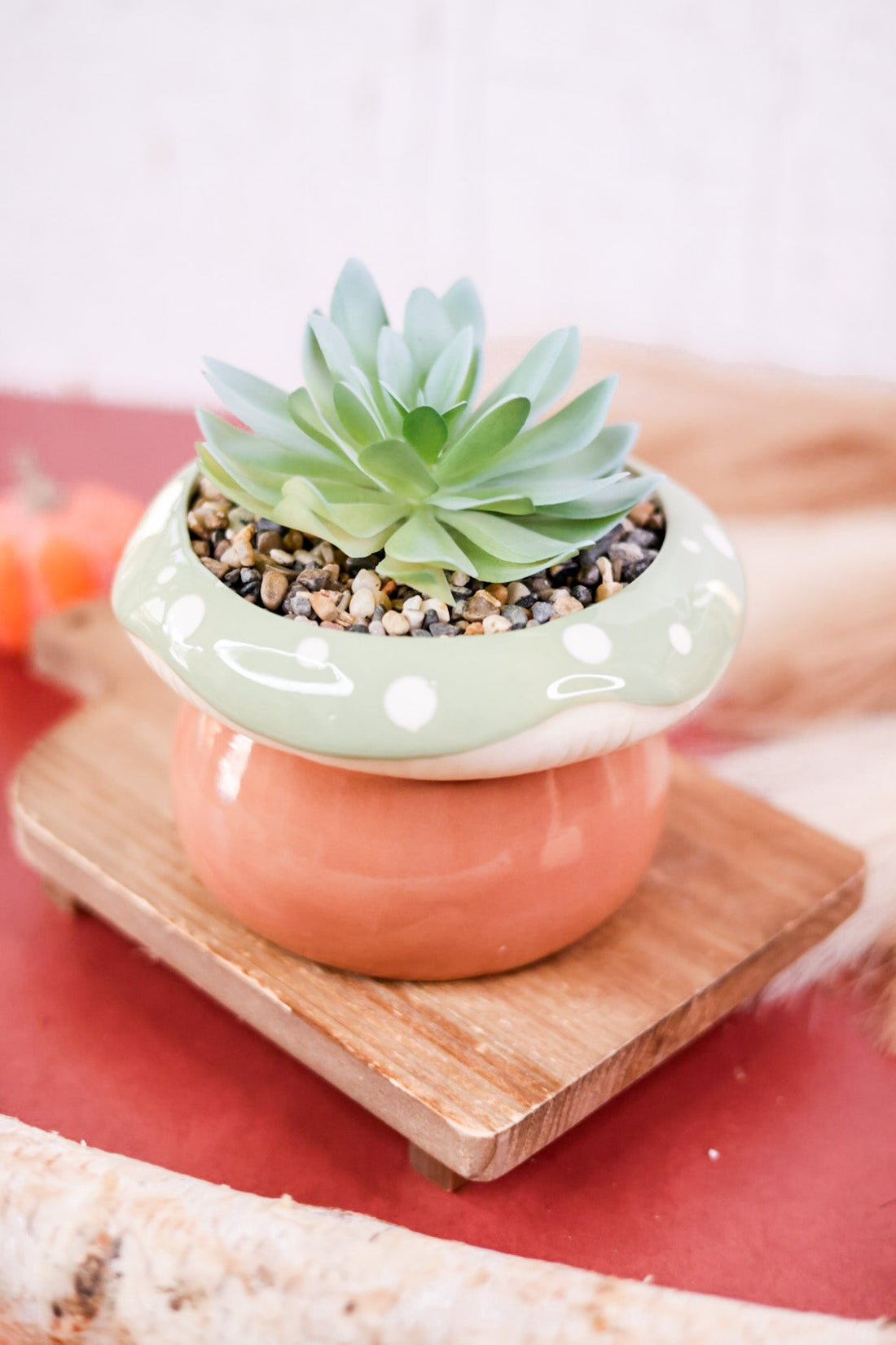 Tabletop Stoneware Mushroom Planter with Succulent (3 Colors) - Whiskey Skies - YOUNG'S INC