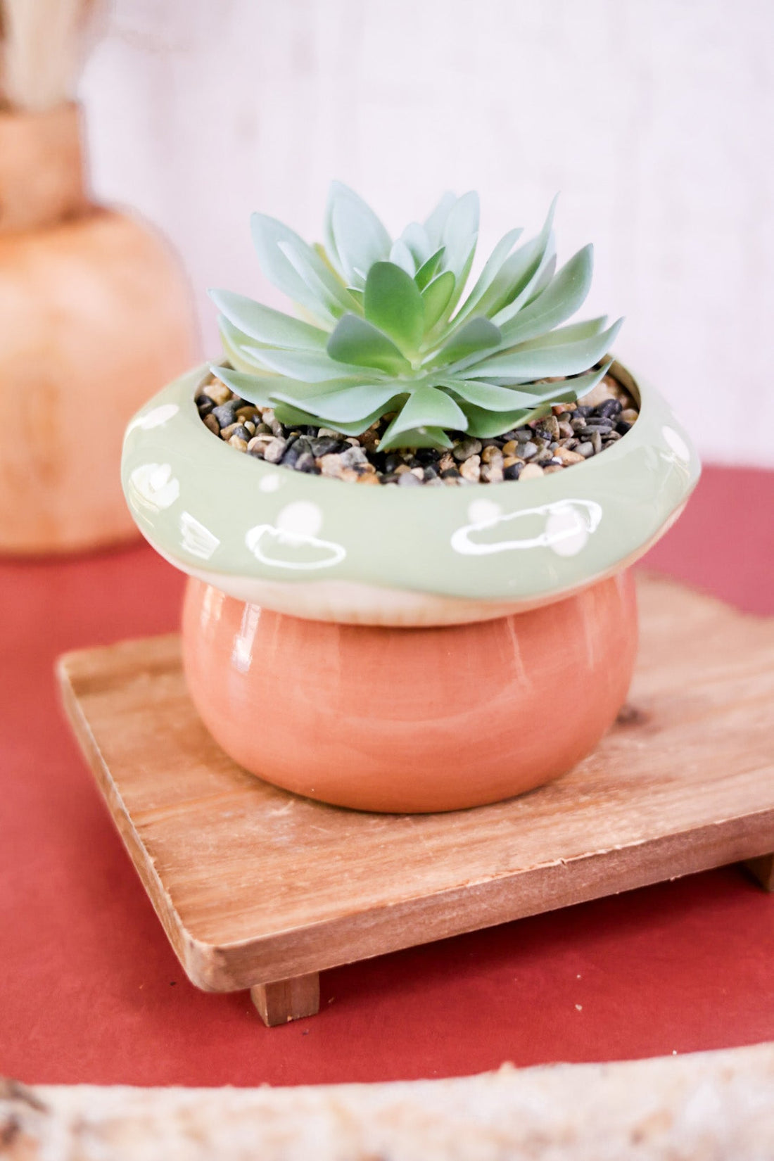 Tabletop Stoneware Mushroom Planter with Succulent (3 Colors) - Whiskey Skies - YOUNG'S INC