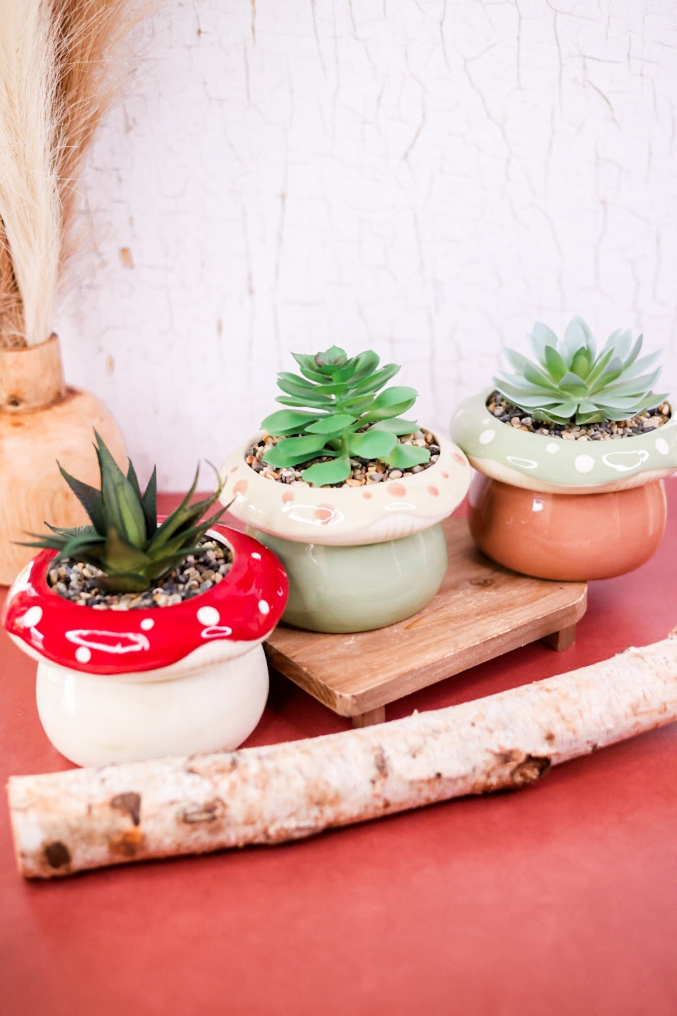 Tabletop Stoneware Mushroom Planter with Succulent (3 Colors) - Whiskey Skies - YOUNG'S INC