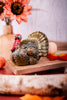 Teddy Turkey Candle - Whiskey Skies - TAG