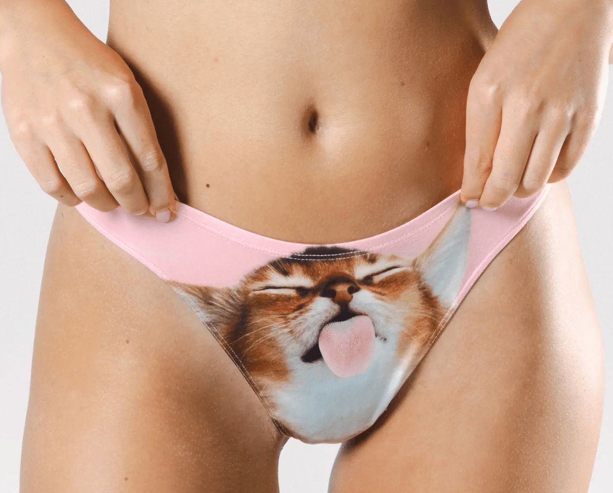 The Right Meow MicroModal Thong Underwear - Whiskey Skies - SHINESTY