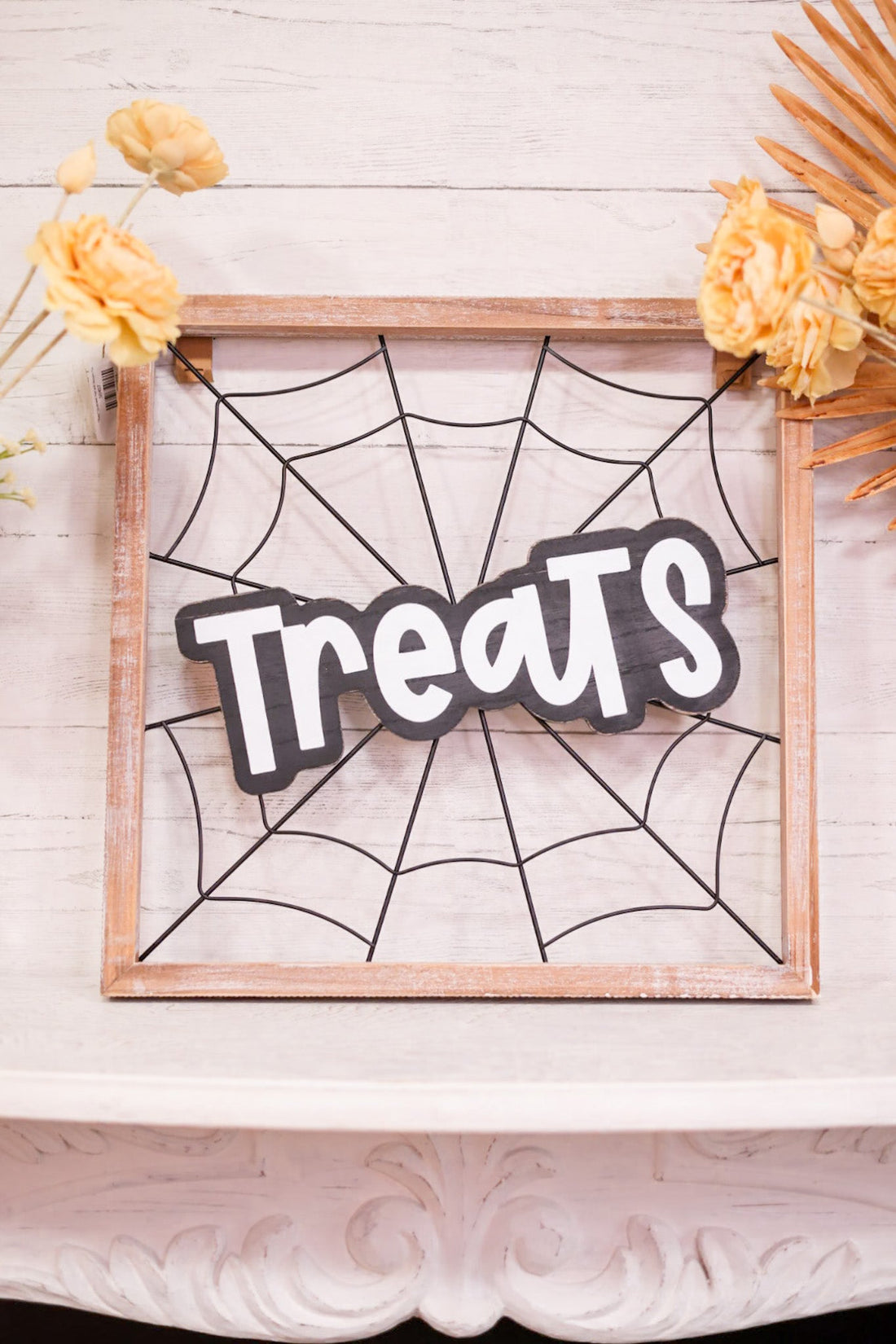 "Treats" Spiderweb Sign with Wooden Frame - Whiskey Skies - ADAMS & CO