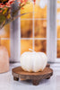 White Gold Pumpkin Candle Small - Whiskey Skies - SULLIVANS