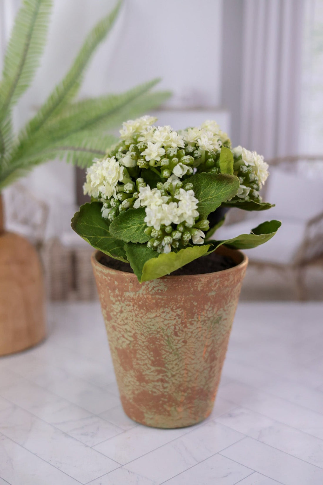 White Kalanchoe In Distressed Clay Pot - Whiskey Skies - K&K INTERIORS