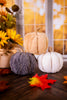 White, Tan, & Gray Furry Pumpkin Sitters (Set Of Three) - Whiskey Skies - WT COLLECTION