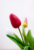 10.5" Real Touch Mini Tulips (8 Colors) - Whiskey Skies