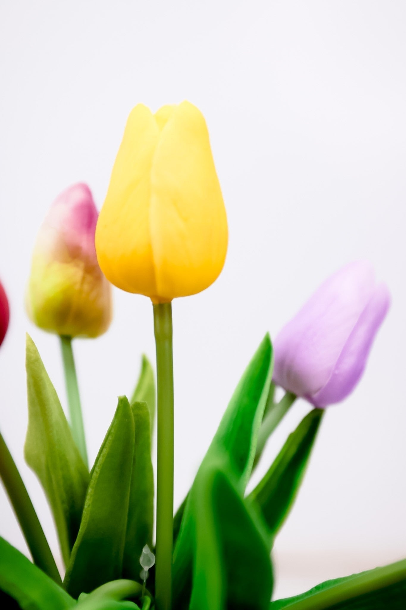 10.5" Real Touch Mini Tulips (8 Colors) - Whiskey Skies