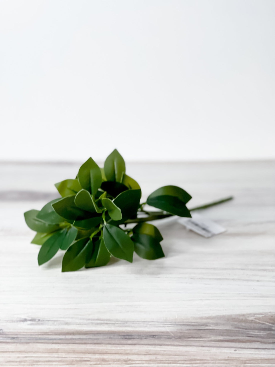 11.5" Lemon Leaf Stem - Whiskey Skies - REPLICA PLANTS AND DECOR