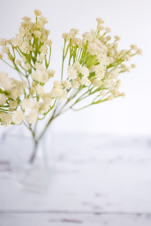 25" Cream Baby's Breath Spray - Whiskey Skies