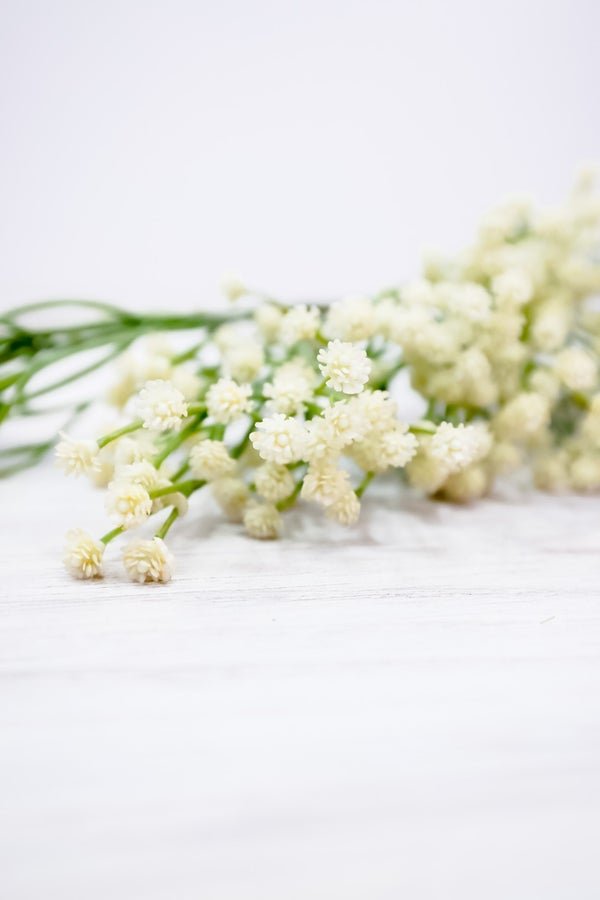 25" Cream Baby's Breath Spray - Whiskey Skies