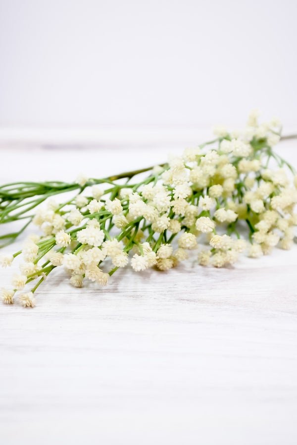 25" Cream Baby's Breath Spray - Whiskey Skies