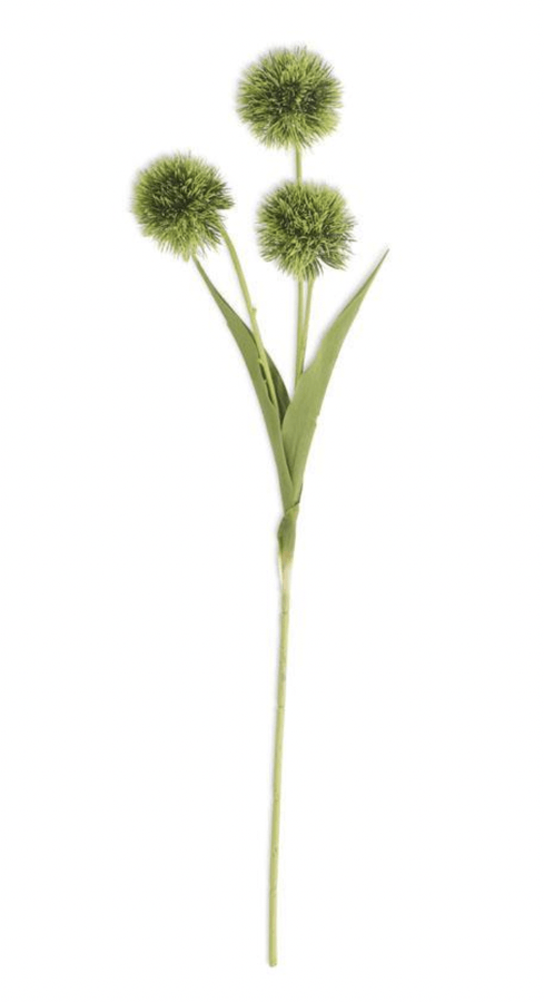 26" Green Ball Flower Stem - Whiskey Skies