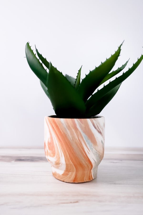 Agave In Marbleized Planter - Whiskey Skies
