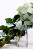 Grape Ivy Leaf Draping Bush - Whiskey Skies