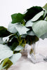 Grape Ivy Leaf Draping Bush - Whiskey Skies