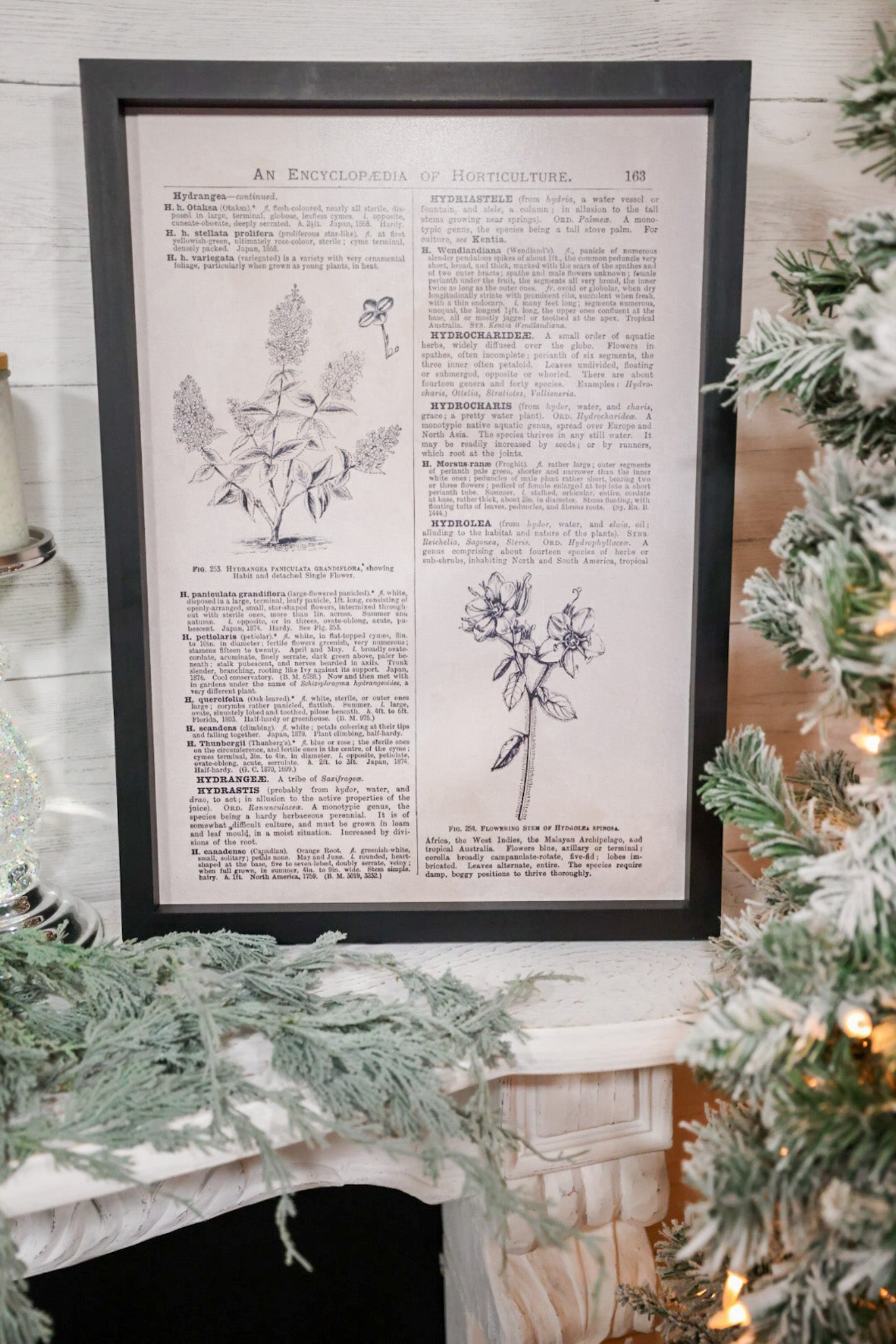 Jingle Bells/Flowers Double Sided Sign - Whiskey Skies