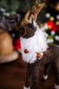Medium Wool Reindeer W/ Bells - Whiskey Skies