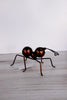 Metal Copper Ants (2 Sizes) - Whiskey Skies