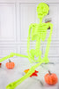 Neon Flocked Halloween Skeleton's (Three Colors) - Whiskey Skies