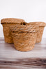 Seagrass Storage Baskets W/ Lids (Set of 3) - Whiskey Skies