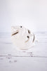 Tilted Ceramic Shark Candle Holder - Whiskey Skies